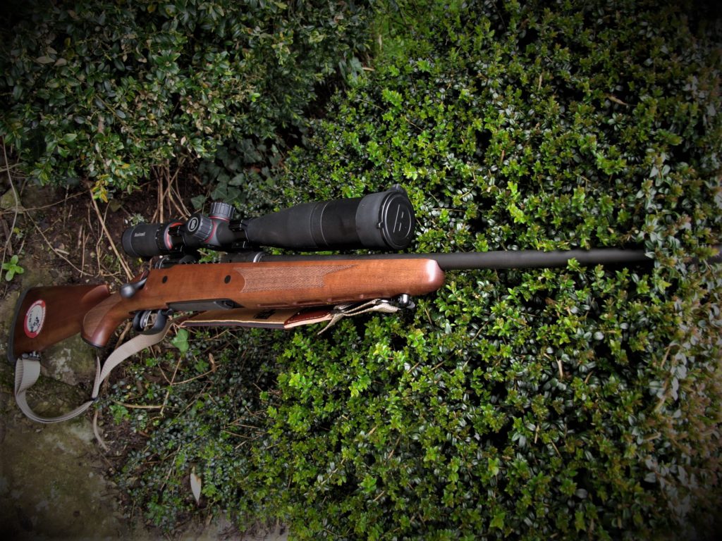 243 Model 11 from Savage review | Sporting Rifle magazine